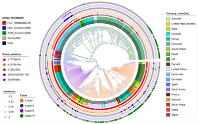 Application of Machine Learning Classifier to Candida auris Drug Resistance Analysis